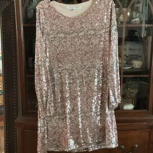 Cupcakes & Cashmere Sequin dress in gold and Silver